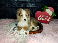 processed/ebe316c6-0bcf-47ed-ad79-db9b08537cc2/listing/662f1dfb-6dd5-46de-ad50-b07d0edbfd2a/a528c59f-c17f-402c-9b62-a93c58d36702