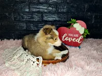 processed/ebe316c6-0bcf-47ed-ad79-db9b08537cc2/listing/662f1dfb-6dd5-46de-ad50-b07d0edbfd2a/aaab9589-7963-4ede-a69a-ee0e5477bbce