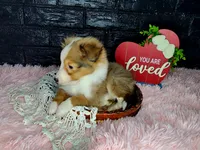 processed/ebe316c6-0bcf-47ed-ad79-db9b08537cc2/listing/662f1dfb-6dd5-46de-ad50-b07d0edbfd2a/b2ff69bf-44f7-4151-a61e-3be97d0ca18d