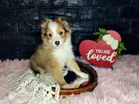 processed/ebe316c6-0bcf-47ed-ad79-db9b08537cc2/listing/662f1dfb-6dd5-46de-ad50-b07d0edbfd2a/b4145f67-a4c0-4049-ab57-ee8bbf41841f