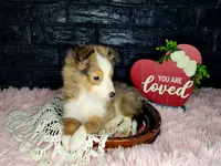 processed/ebe316c6-0bcf-47ed-ad79-db9b08537cc2/listing/662f1dfb-6dd5-46de-ad50-b07d0edbfd2a/bb8baeb0-dd07-48e1-bbd8-cf2fb5324250