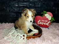 processed/ebe316c6-0bcf-47ed-ad79-db9b08537cc2/listing/662f1dfb-6dd5-46de-ad50-b07d0edbfd2a/ddae6bce-abf2-47b0-95ac-36308a4940b8