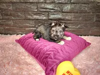 processed/ebe316c6-0bcf-47ed-ad79-db9b08537cc2/listing/707a0016-082c-4603-bf85-20d5430d0a89/09e79db2-918c-45b4-89c4-1fd6496888a4