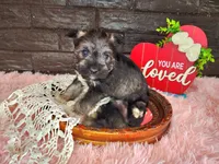 processed/ebe316c6-0bcf-47ed-ad79-db9b08537cc2/listing/707a0016-082c-4603-bf85-20d5430d0a89/0e73a639-d9db-4efd-a10e-3ca9c470621b