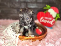 processed/ebe316c6-0bcf-47ed-ad79-db9b08537cc2/listing/707a0016-082c-4603-bf85-20d5430d0a89/210d3f56-603a-493c-989e-9b6bc794ed77