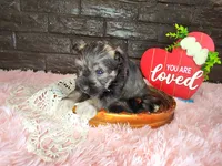 processed/ebe316c6-0bcf-47ed-ad79-db9b08537cc2/listing/707a0016-082c-4603-bf85-20d5430d0a89/58605384-9f6a-4faf-9061-57e4387ec01d