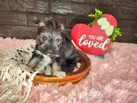 processed/ebe316c6-0bcf-47ed-ad79-db9b08537cc2/listing/707a0016-082c-4603-bf85-20d5430d0a89/b6360d60-d34b-4e8d-bd76-c66f8a7631aa