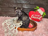 processed/ebe316c6-0bcf-47ed-ad79-db9b08537cc2/listing/707a0016-082c-4603-bf85-20d5430d0a89/cd255052-a324-4a7f-93ab-fde616d45fc8