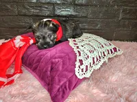 processed/ebe316c6-0bcf-47ed-ad79-db9b08537cc2/listing/707a0016-082c-4603-bf85-20d5430d0a89/d35bcf03-73b4-48b5-8638-73f376c432e1