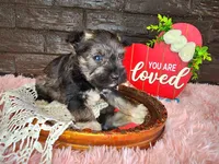 processed/ebe316c6-0bcf-47ed-ad79-db9b08537cc2/listing/707a0016-082c-4603-bf85-20d5430d0a89/e6b88168-ce2c-4eff-a883-f693e94c022d