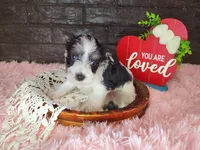 processed/ebe316c6-0bcf-47ed-ad79-db9b08537cc2/listing/78a0f27d-8550-41af-bd18-1ef9ef347046/017d6329-2114-4ce7-a608-52faf370049e