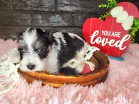 processed/ebe316c6-0bcf-47ed-ad79-db9b08537cc2/listing/78a0f27d-8550-41af-bd18-1ef9ef347046/2412e89d-4f5e-4ac5-8155-d7c63d4269f4