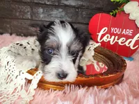 processed/ebe316c6-0bcf-47ed-ad79-db9b08537cc2/listing/78a0f27d-8550-41af-bd18-1ef9ef347046/2f9cca16-2f8d-4153-8e69-da80a5346279