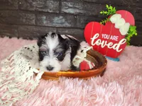 processed/ebe316c6-0bcf-47ed-ad79-db9b08537cc2/listing/78a0f27d-8550-41af-bd18-1ef9ef347046/4f915e89-6705-4a3f-b9bf-030da90a1e62