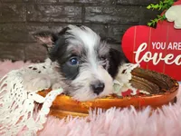 processed/ebe316c6-0bcf-47ed-ad79-db9b08537cc2/listing/78a0f27d-8550-41af-bd18-1ef9ef347046/d6c324da-dd3c-4195-bac3-96920faf06ce