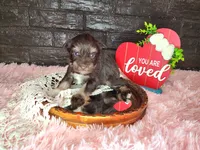 processed/ebe316c6-0bcf-47ed-ad79-db9b08537cc2/listing/d60c4e99-b206-4de3-8437-a3ba119d74b5/1f36f317-b1bb-46ff-a5cc-07521f9903cb