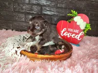 processed/ebe316c6-0bcf-47ed-ad79-db9b08537cc2/listing/d60c4e99-b206-4de3-8437-a3ba119d74b5/40fea31f-3a21-4ab0-91e1-362334eb569c