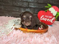 processed/ebe316c6-0bcf-47ed-ad79-db9b08537cc2/listing/d60c4e99-b206-4de3-8437-a3ba119d74b5/841a7de1-abfb-4242-9f7e-5985ce54c1f6