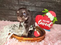 processed/ebe316c6-0bcf-47ed-ad79-db9b08537cc2/listing/d60c4e99-b206-4de3-8437-a3ba119d74b5/8ecbe22a-7f6b-4c70-b28d-4f60189786e5