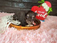 processed/ebe316c6-0bcf-47ed-ad79-db9b08537cc2/listing/d60c4e99-b206-4de3-8437-a3ba119d74b5/8fcae36d-4051-4b21-9311-a863f3c26a1b