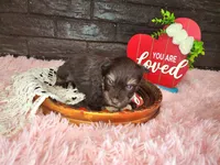 processed/ebe316c6-0bcf-47ed-ad79-db9b08537cc2/listing/d60c4e99-b206-4de3-8437-a3ba119d74b5/9f2e8a1f-b2dc-4123-9c5d-f117755fcc04