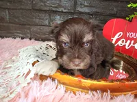 processed/ebe316c6-0bcf-47ed-ad79-db9b08537cc2/listing/d60c4e99-b206-4de3-8437-a3ba119d74b5/bd5fe00e-db48-4eea-9a93-3ded0b01ab8a