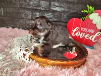 processed/ebe316c6-0bcf-47ed-ad79-db9b08537cc2/listing/d60c4e99-b206-4de3-8437-a3ba119d74b5/c2a37ad6-3fe5-422a-93c3-69a9b6c02e86