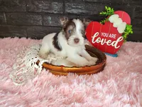 processed/ebe316c6-0bcf-47ed-ad79-db9b08537cc2/listing/e81f1dfd-77e6-4220-865b-1ab7bd142b04/0774a674-4072-4ebf-afca-afa59f62f265