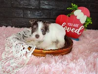 processed/ebe316c6-0bcf-47ed-ad79-db9b08537cc2/listing/e81f1dfd-77e6-4220-865b-1ab7bd142b04/293de78c-b2a8-4f68-8176-328b0b509cac