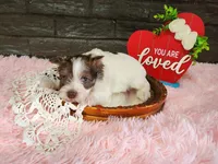 processed/ebe316c6-0bcf-47ed-ad79-db9b08537cc2/listing/e81f1dfd-77e6-4220-865b-1ab7bd142b04/371dfd1c-ce1e-4ccc-8379-5da7f2a83b85