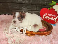 processed/ebe316c6-0bcf-47ed-ad79-db9b08537cc2/listing/e81f1dfd-77e6-4220-865b-1ab7bd142b04/4d5763f4-d7df-4d19-a949-f99179d414ec