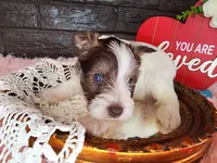 processed/ebe316c6-0bcf-47ed-ad79-db9b08537cc2/listing/e81f1dfd-77e6-4220-865b-1ab7bd142b04/5f1f83a0-2aba-4bcc-a4a3-3ae2002019f1