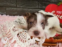 processed/ebe316c6-0bcf-47ed-ad79-db9b08537cc2/listing/e81f1dfd-77e6-4220-865b-1ab7bd142b04/965eb2e0-ffcb-49e9-ba05-05f158695dad