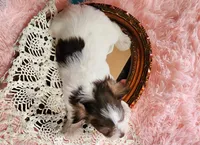 processed/ebe316c6-0bcf-47ed-ad79-db9b08537cc2/listing/e81f1dfd-77e6-4220-865b-1ab7bd142b04/f536e57e-3ec3-4fe4-a8ce-21963544a250