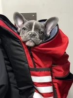 processed/ebed0d80-97e2-4f6e-89b1-de534f4e1c9b/listing/b4def479-b4eb-4be7-9ab4-12436569d94c/02c322a0-6403-4716-94c4-e957249785d3