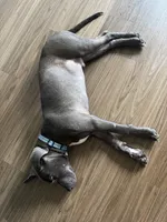 processed/ebf00e47-2fa9-4303-a1d5-e7d98e401289/listing/20a9c6c0-5d13-4b26-9e75-62a14f49acc5/0b4417ab-8a1f-46ac-9a1c-834b79d5991d