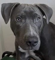 processed/ebf00e47-2fa9-4303-a1d5-e7d98e401289/listing/20a9c6c0-5d13-4b26-9e75-62a14f49acc5/122b38f8-bc3b-493d-8fef-aecc98a90772