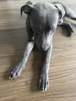 processed/ebf00e47-2fa9-4303-a1d5-e7d98e401289/listing/20a9c6c0-5d13-4b26-9e75-62a14f49acc5/1c432123-c65c-47aa-a53d-24cc3715e814