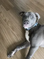 processed/ebf00e47-2fa9-4303-a1d5-e7d98e401289/listing/20a9c6c0-5d13-4b26-9e75-62a14f49acc5/36667afd-b388-46df-ac62-9ac897817e28