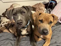 processed/ebf00e47-2fa9-4303-a1d5-e7d98e401289/listing/7ed7cec1-12ef-4a51-8e6f-ea15a761f4b6/1ccfdf51-825b-4763-9e95-16318ba45139