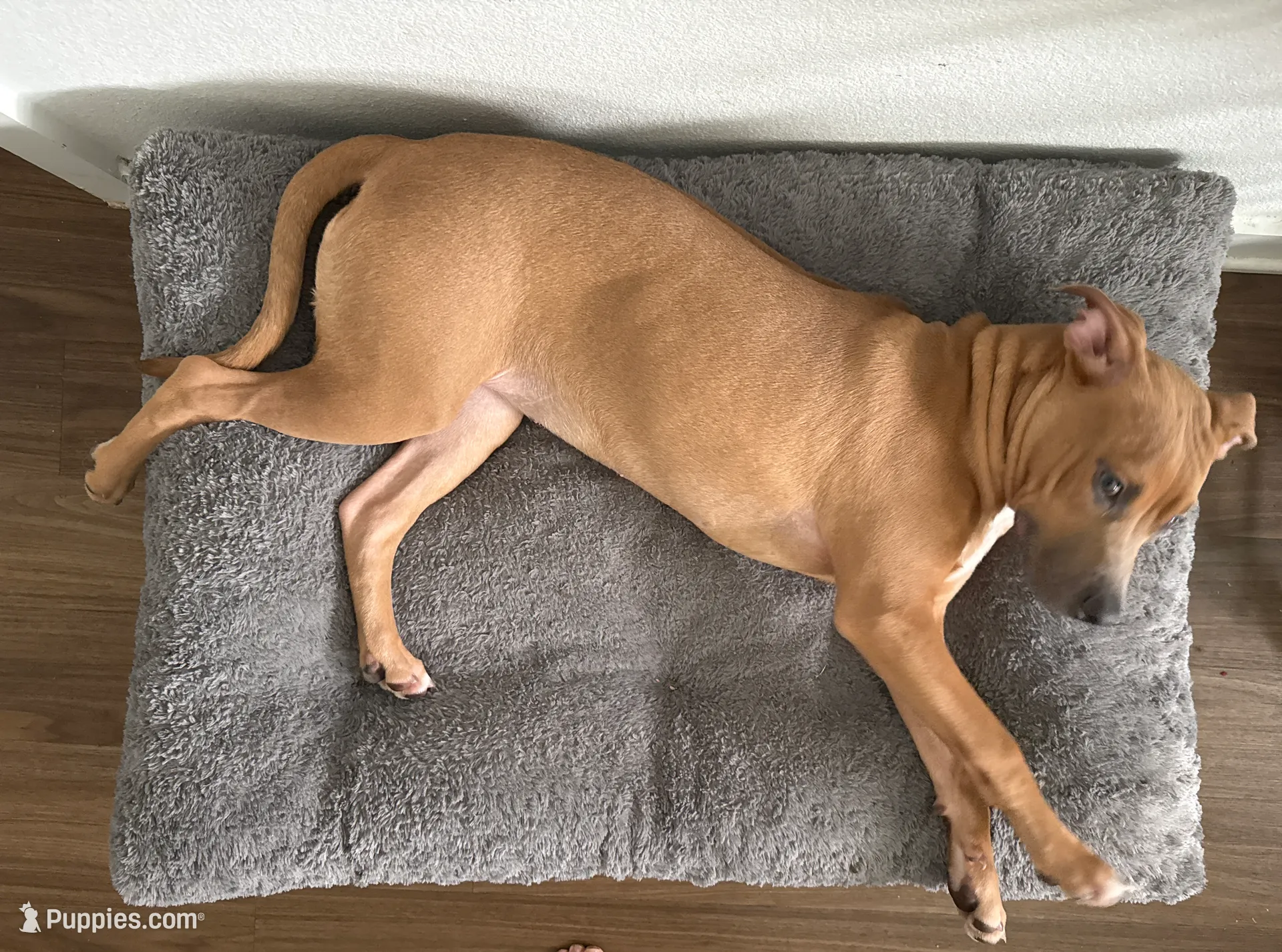 processed/ebf00e47-2fa9-4303-a1d5-e7d98e401289/listing/7ed7cec1-12ef-4a51-8e6f-ea15a761f4b6/32c00935-ab52-4579-9293-3690bcd02cf1