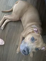 processed/ebf00e47-2fa9-4303-a1d5-e7d98e401289/listing/7ed7cec1-12ef-4a51-8e6f-ea15a761f4b6/870e477e-efc8-488d-9675-3304c1e85a8d