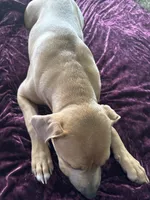 processed/ebf00e47-2fa9-4303-a1d5-e7d98e401289/listing/7ed7cec1-12ef-4a51-8e6f-ea15a761f4b6/c6cc4cdf-18f4-4427-a2ca-6d6e0e10f141