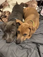 processed/ebf00e47-2fa9-4303-a1d5-e7d98e401289/listing/7ed7cec1-12ef-4a51-8e6f-ea15a761f4b6/d6bf465b-ef96-42d0-9634-2d1955ae0701