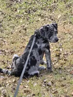 processed/ebf088ae-913a-4625-b4cc-a6649595787b/listing/660efb29-4fc4-4b73-864c-21cb57621ac4/cc2b0e5c-bb42-43e2-bef5-900b05b74fcf