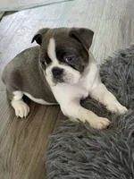 processed/ebf15a76-59cd-438d-a215-e3f1e4b8101f/facility/2a6b9279-557e-4ed5-bf0f-b80b62eeaab3