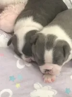 processed/ebf15a76-59cd-438d-a215-e3f1e4b8101f/facility/2d156c95-0e35-4900-84f9-6e7e36ef5251