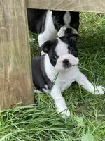 processed/ebf15a76-59cd-438d-a215-e3f1e4b8101f/facility/35ac5829-7048-4dea-8d0a-ed1bbb02f840