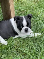 processed/ebf15a76-59cd-438d-a215-e3f1e4b8101f/facility/37e548e9-487f-4541-aedb-c18cf9d24bc6