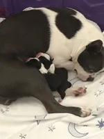 processed/ebf15a76-59cd-438d-a215-e3f1e4b8101f/facility/41704eef-1ff8-4c5e-beb4-a3707a44ccd3